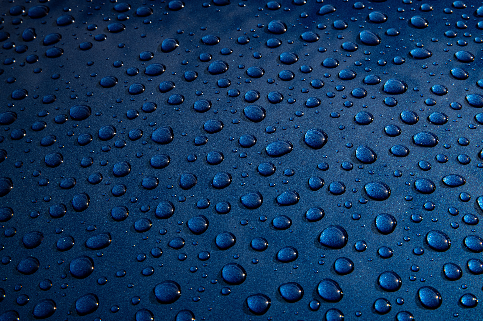 Coated Fabric