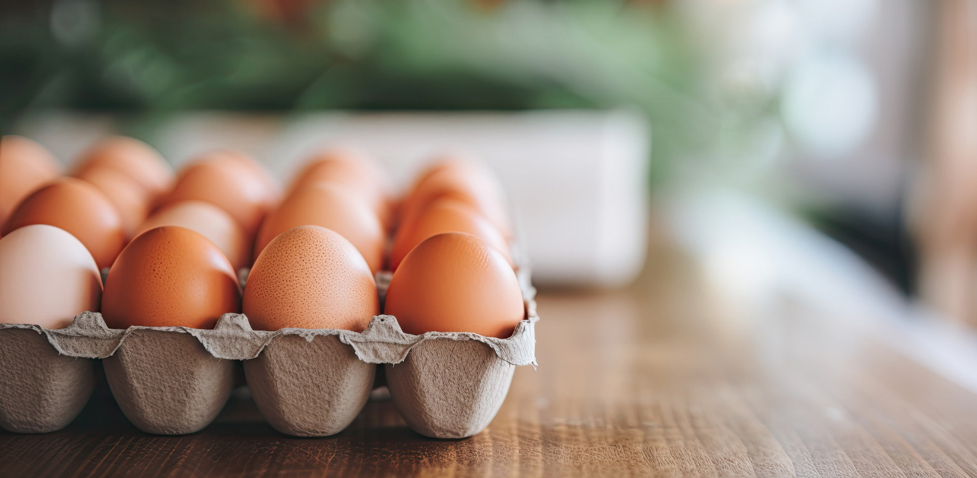 egg carton with moisture vapor transmission barrier