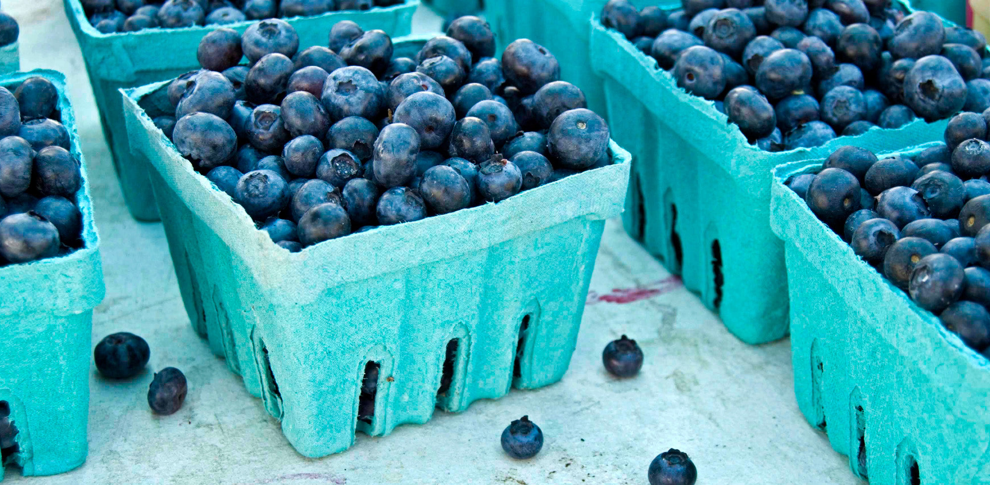 Moisture and Oxygen barrier coatings for paper and paperboard packaging