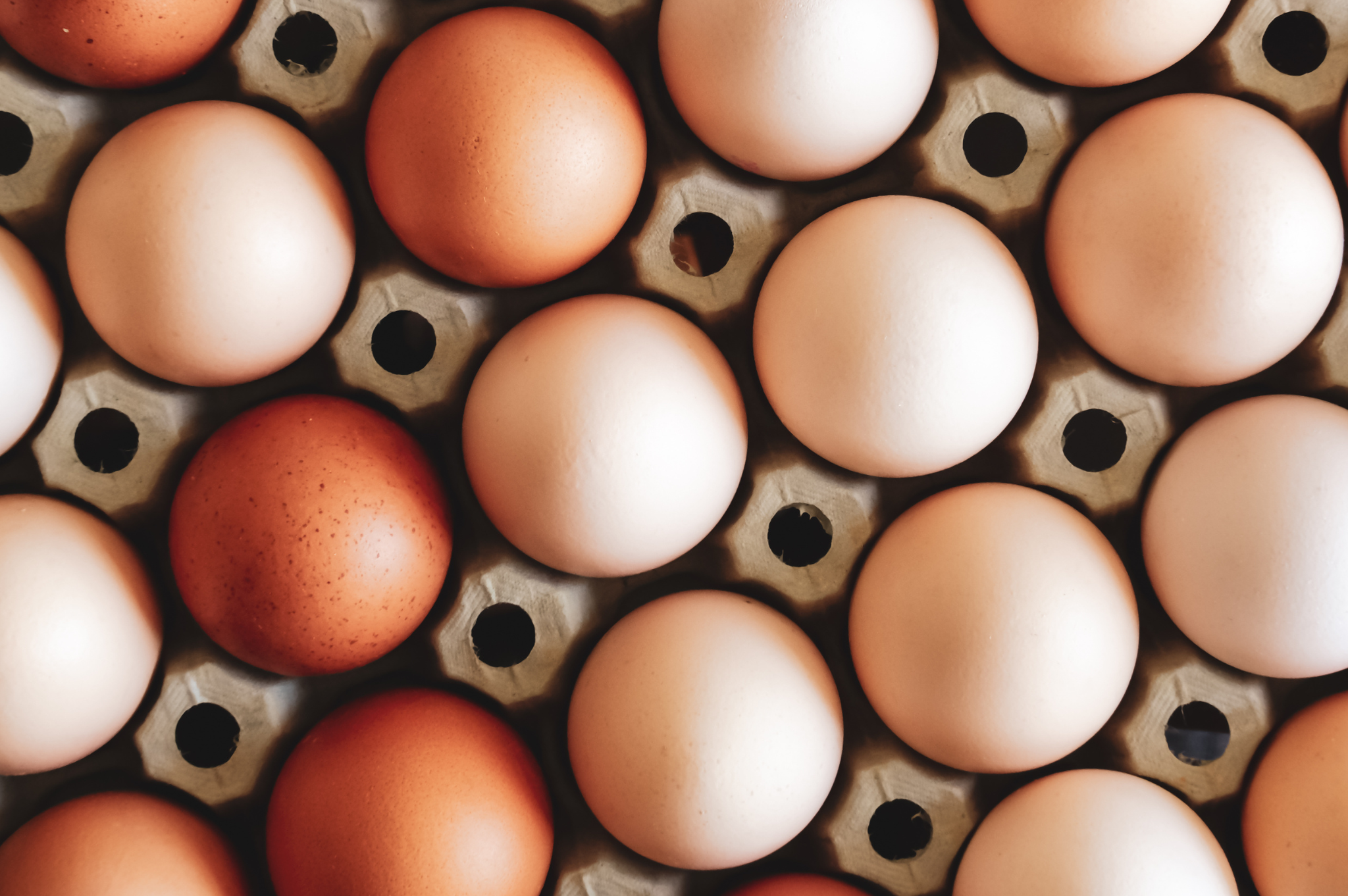 Egg-cellent Sustainability: Pioneering Packaging Solutions for Eco-Friendly Egg Cartons
