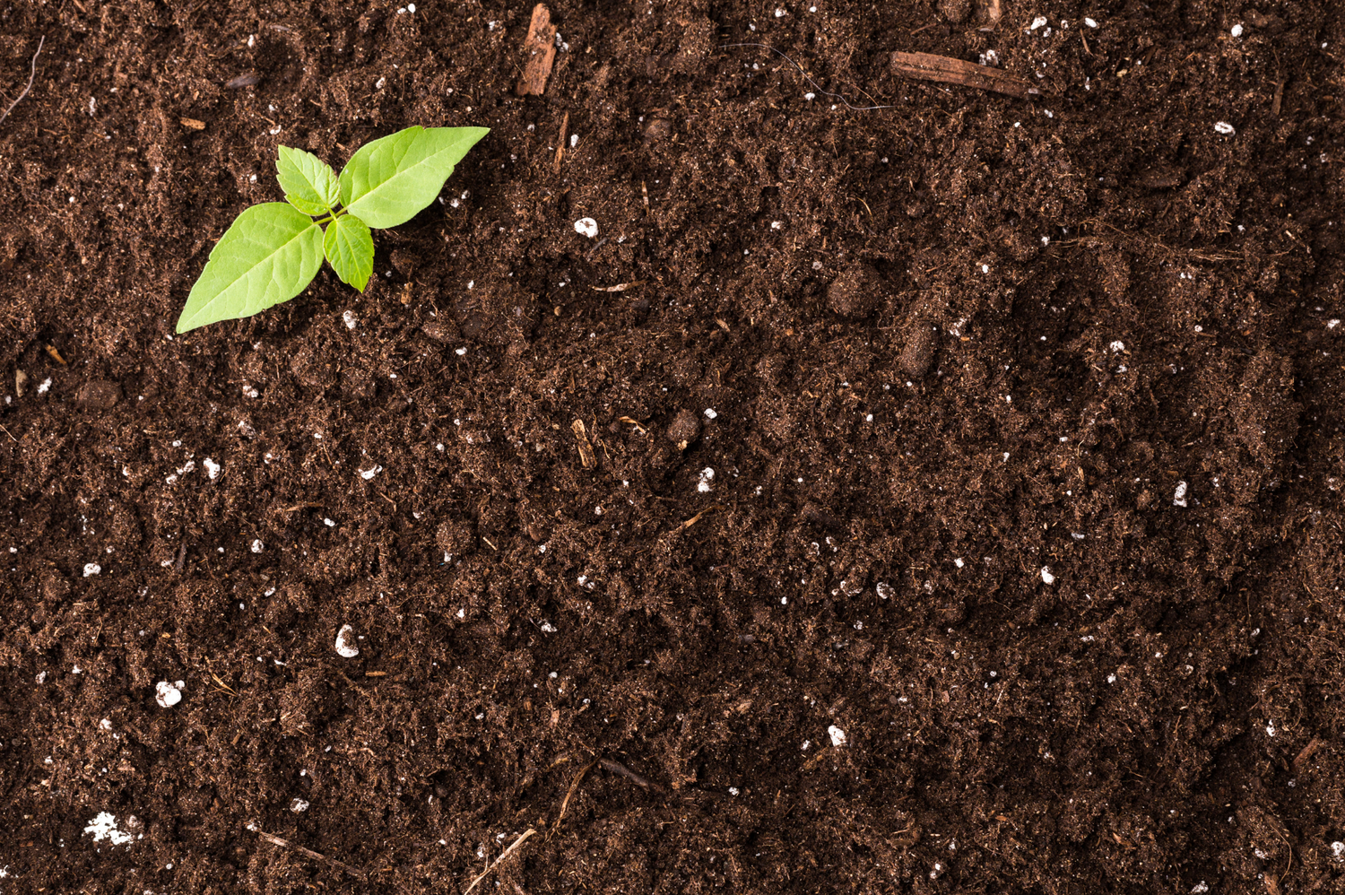 The Future of Packaging is Compostable: Meet BIO-PAK by Impermea