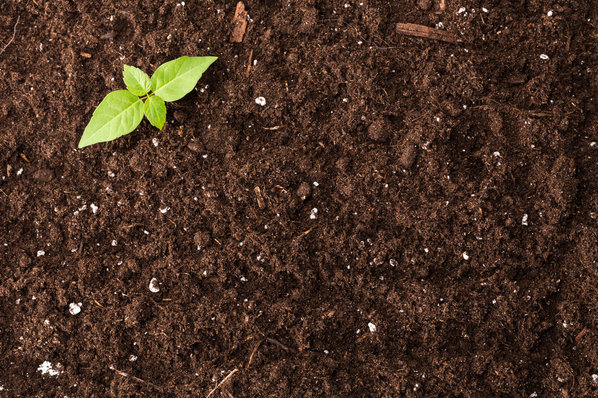 The Future of Packaging is Compostable: Meet BIO-PAK by Impermea