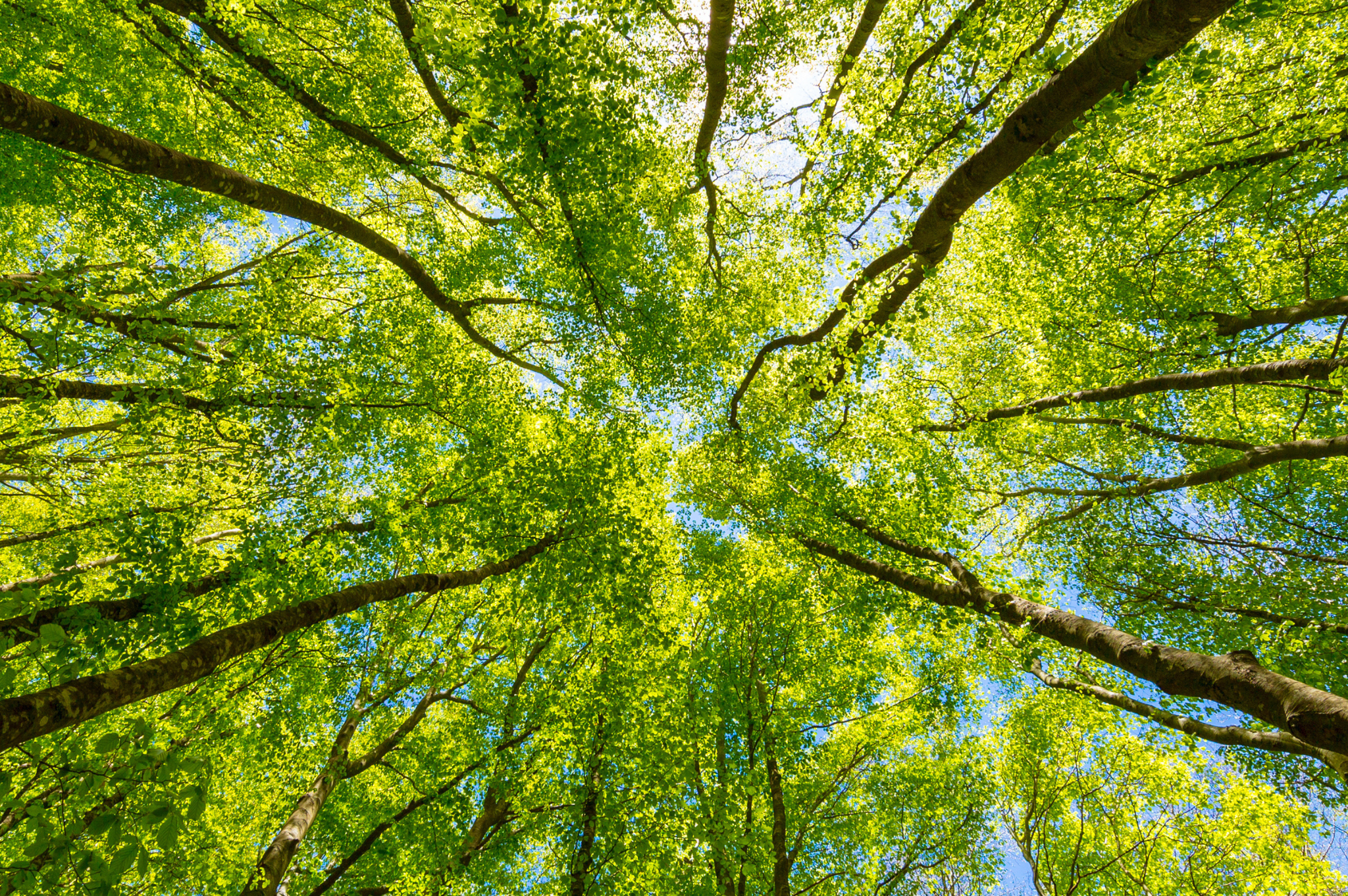 Ready When You Are: Go Plastic-Free, PFAS-Free Without Sacrificing Performance